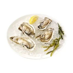 Princess Machine à Glace Pilée 01.282984.01.001 -KitchenAid || Smeg Soldes Magasin 780162 4 2 Machine a glace pilee 01 282984 01 001 Princess