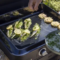 Plancha à Gaz Combo Enosign 65 Bleu Navy 2 Feux -KitchenAid || Smeg Soldes Magasin 781013 3 4 Plancha a gaz Combo enosign 65 bleu navy 2 feux ENO